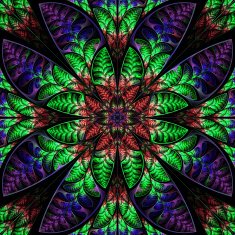 Multicolor symmetric pattern of the leaves Collection - tree foliage