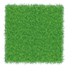 green grass background N5