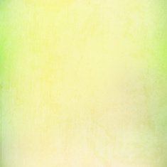 Grunge vector background N41