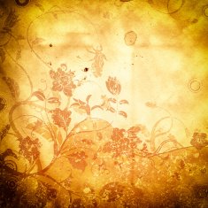 Old grunge floral paper background N2