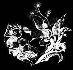 Flowers drawn in ink on old paper N10