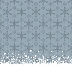 Christmas decoration frame N19