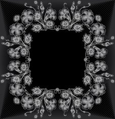 abstract floral frame N28