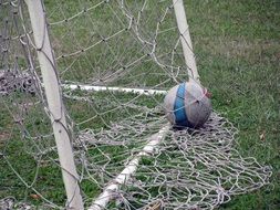 the ball in the goal