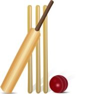 graphic image of cricket attributes