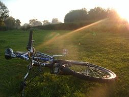 bicycle and sun