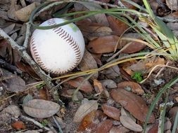 baseball ball on ground