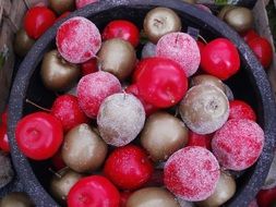 frozen christmas balls