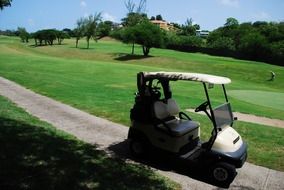 Cart for golf