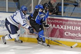 hockey players with sticks near the side