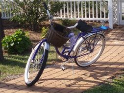 Bicycle with a basket in the yard