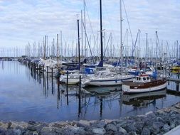 sailboats in the harbor on Lake Constance