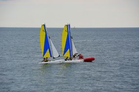 sailboats sport
