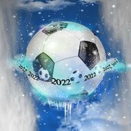 football world championship in 2022