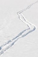 ski tracks in the snow in sports