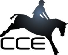 triathlon symbol on horseback in sport