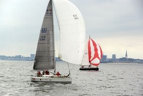 sport sailing regatta