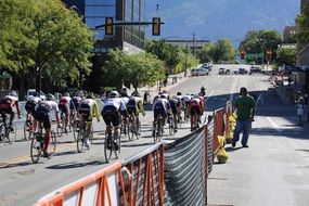 racing cyclist on the road