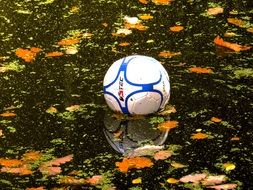 ball in the pond