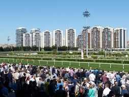 the crowd at the races in Istanbul