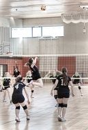 girls play volleyball