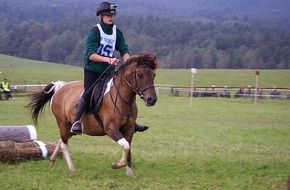 riding human on a horse in autumn