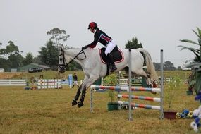 rider on horse jumps over barrier