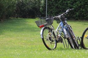 bicycles stand on a green meadow