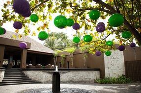 bali tree balls