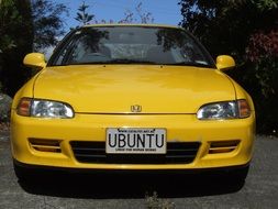 yellow Honda