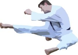 graphic image of a karate man in a jump