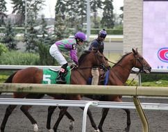 race on the racetrack