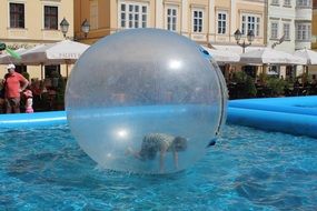 water kid attraction