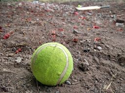 the tennis ball lies on the ground