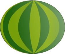 drawing watermelon on a white background
