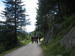 cycling transalp with amazing views