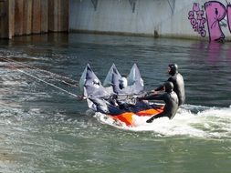 boat trips in black wetsuits