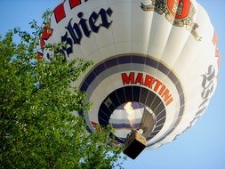 hot air balloon in the sky behind a green tree