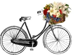 graphic image of a bicycle with flowers