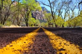 life beauty road