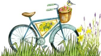 pretty bike with flowers