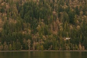 seaplane over Lake