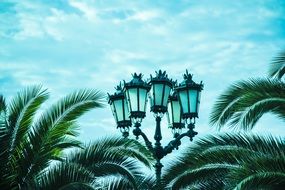 street lamp with green palm trees