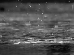 black and white photo of rain