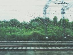 railway tracks near green bushes