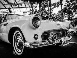 vintage classic car in black and white