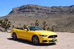 yellow mustang in the desert