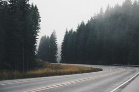 highway in the misty forest