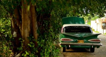 green vintage car beneath tree