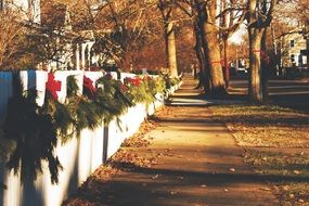 the path next to the boxes of flowers